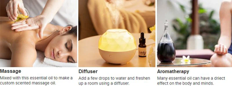 essential oils application2