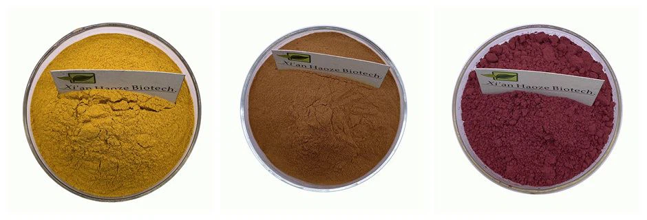 Our Product