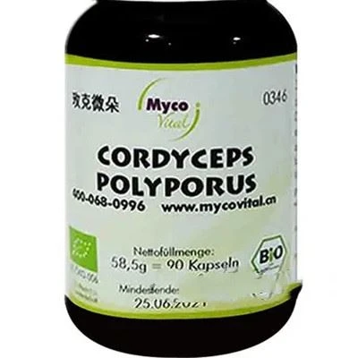 polyporus powder