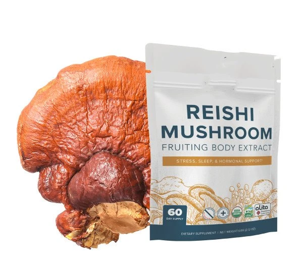 reishi extract powder