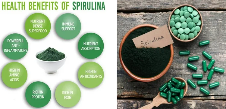 news-921-446 news-921-446